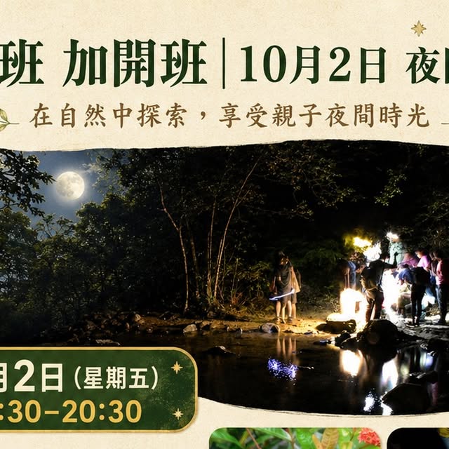 【親子好去處】Rainbow Tree NEL班加開班|夜間生態探索體驗