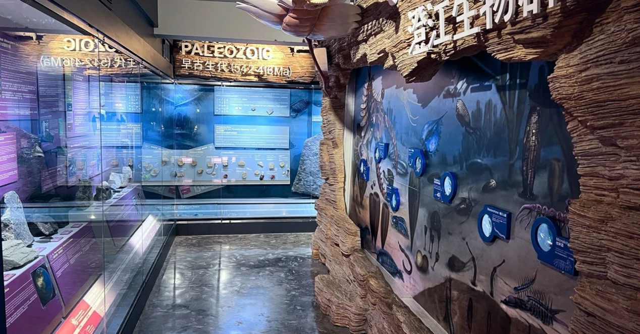 🏛️【港島親子好去處】香港大學許士芬地質博物館!45億年地球奧秘 x 恐龍化石真跡,雨天放電必去免費室內博覽!🦖💎✨