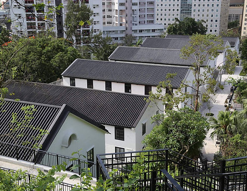🏛️【美孚親子好去處】饒宗頤文化館!百年三級歷史建築 x 翠綠山林園區 x 藝文展覽,全家悠閒古蹟散步!🍃📜✨