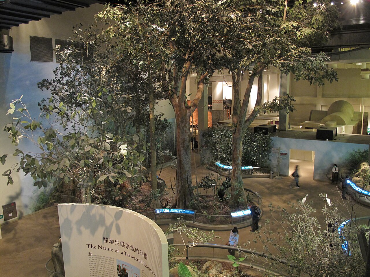 The_Natural_Environment_in_Hong_Kong_Museum_of_History_2011