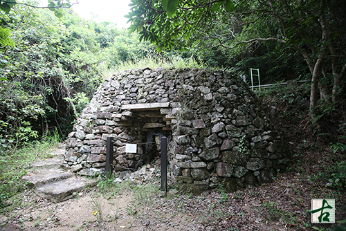 DM013_4