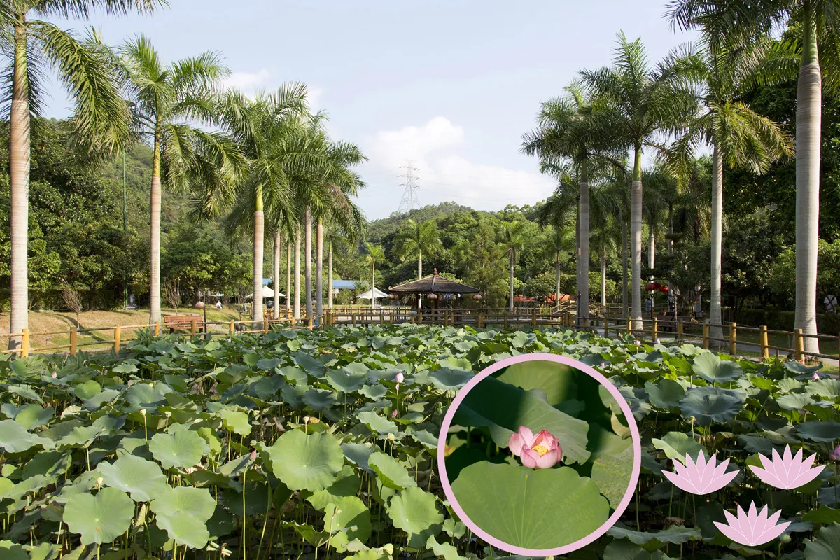 eco_gallery_006