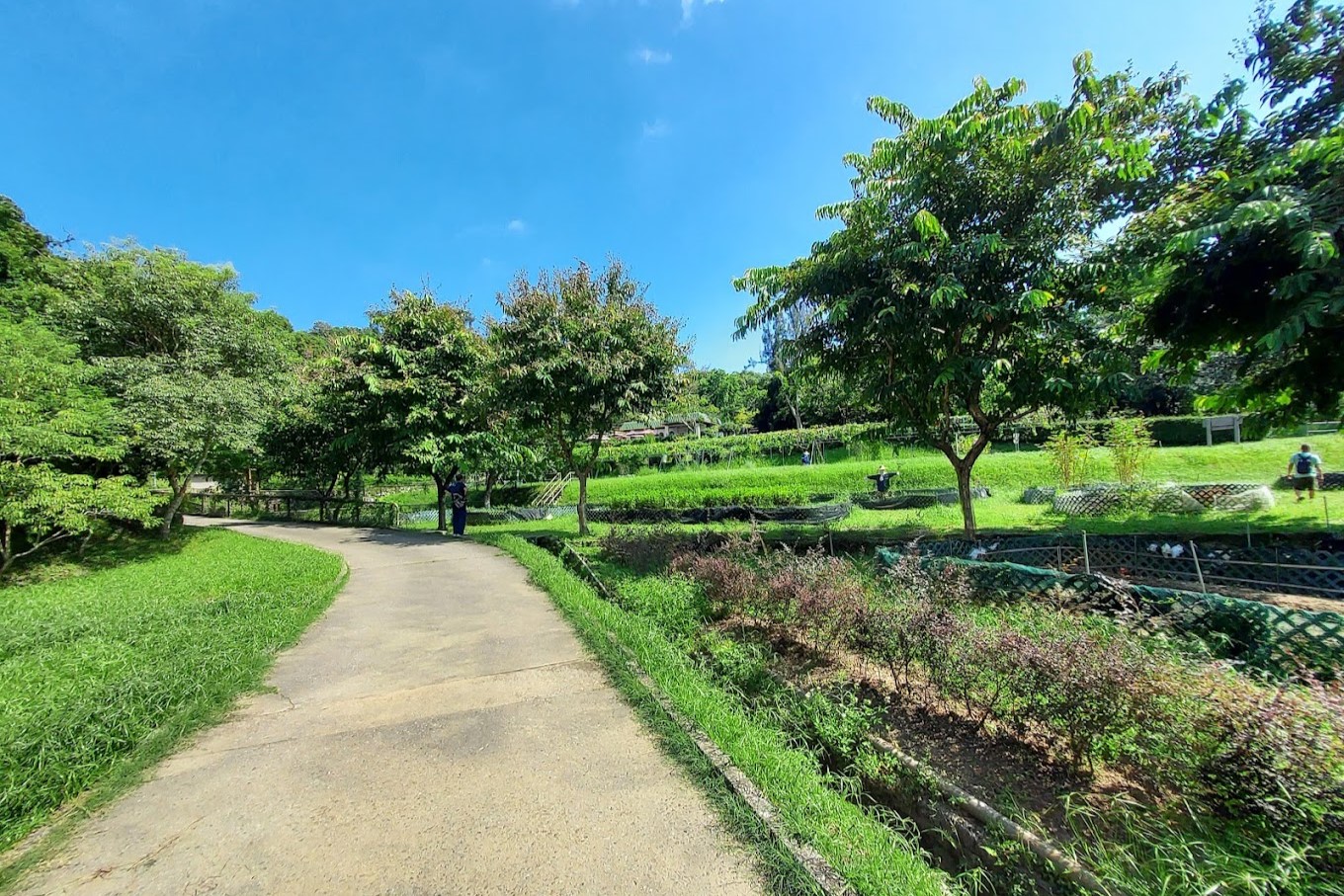 lion_nature_education_centre_26