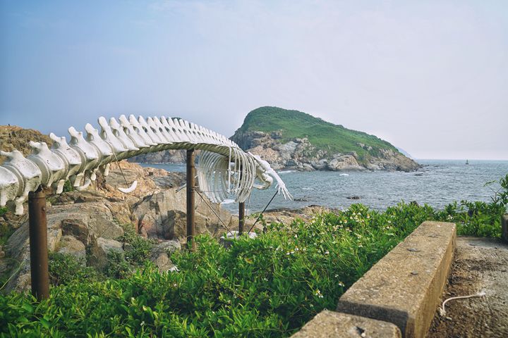 鶴咀-21