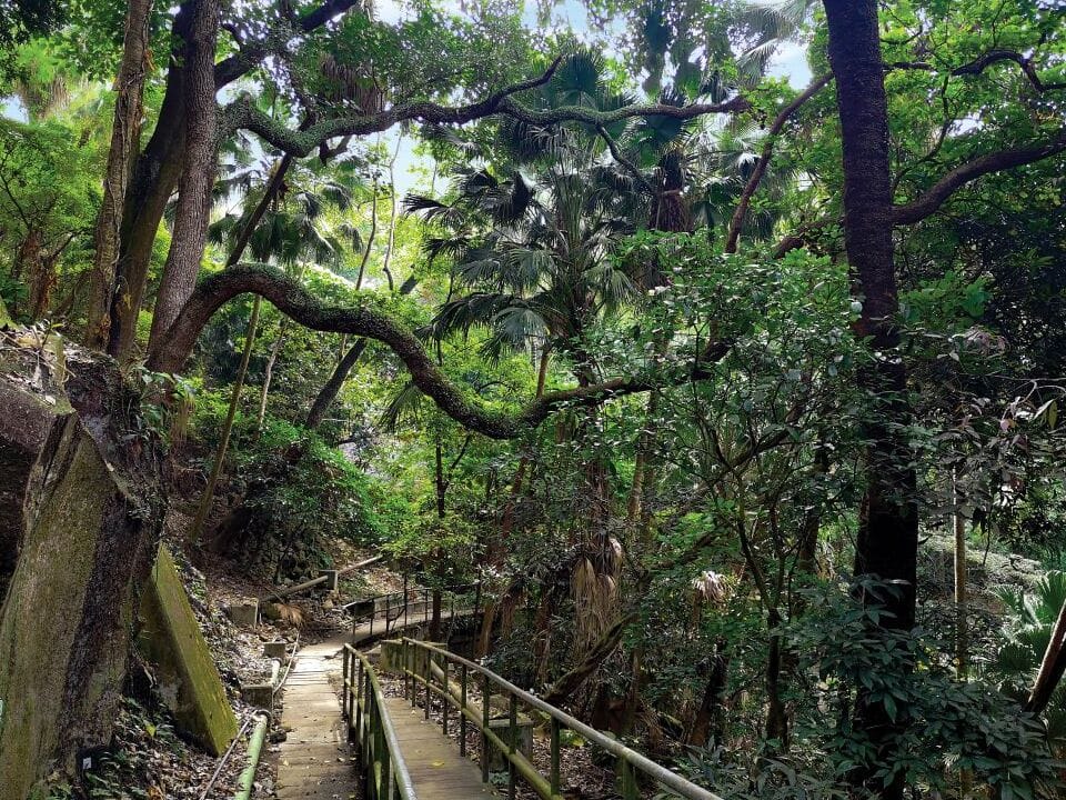 lung-fu-shan-country-park-02