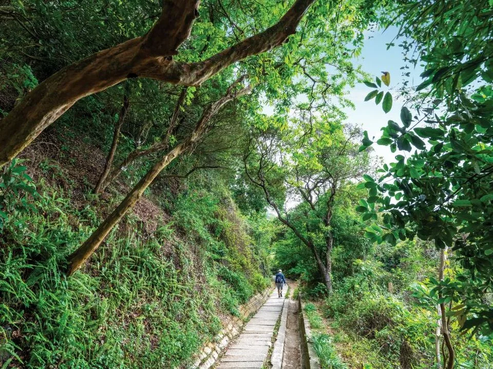 lung-fu-shan-country-park-03