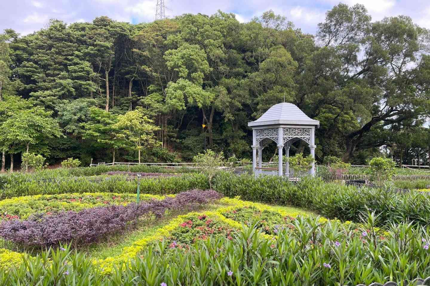 山頂一日遊-山頂公園