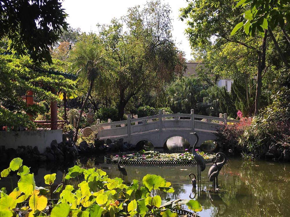 8_SSP_5_Lingnan_Garden_in_Lai_Chi_Kok_Park_9_1642493514_9