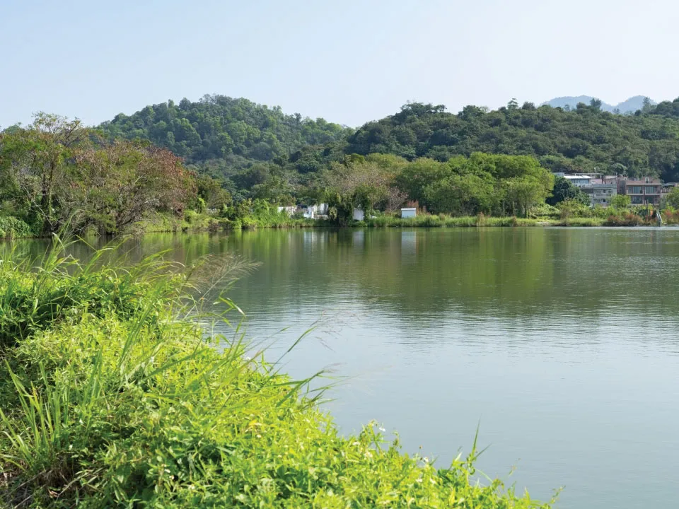 mai-po-nature-reserve-01