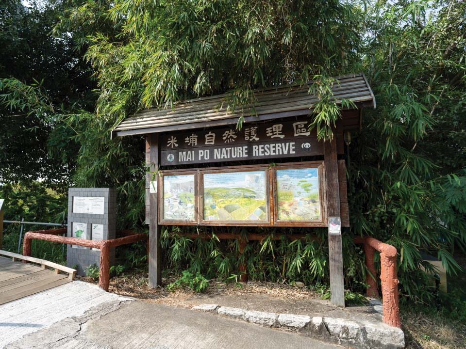 mai-po-nature-reserve-03