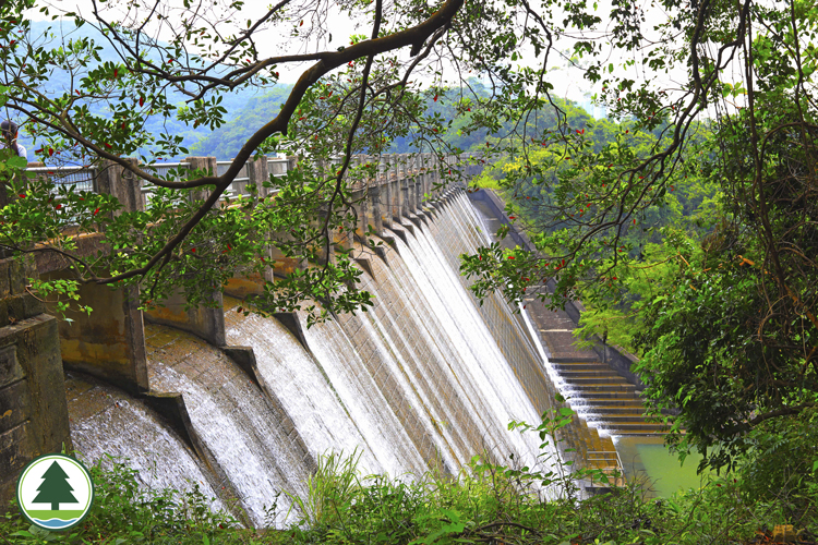 CP_photo_Abd_LowerReservoir2_s