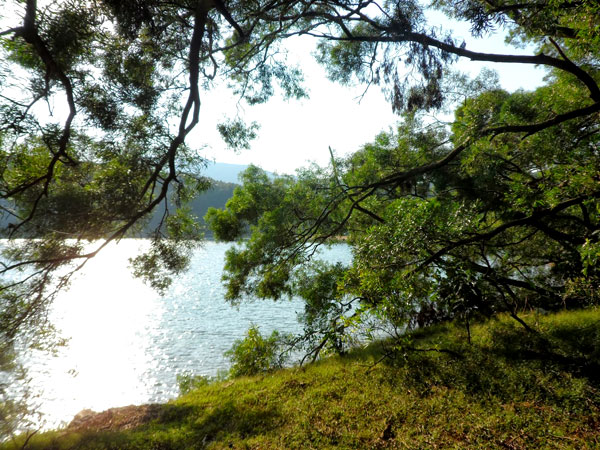 wan_chai_camp_03