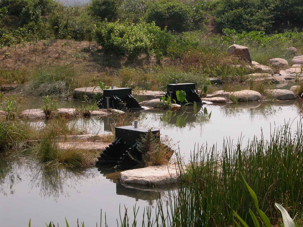 conservation_5_3