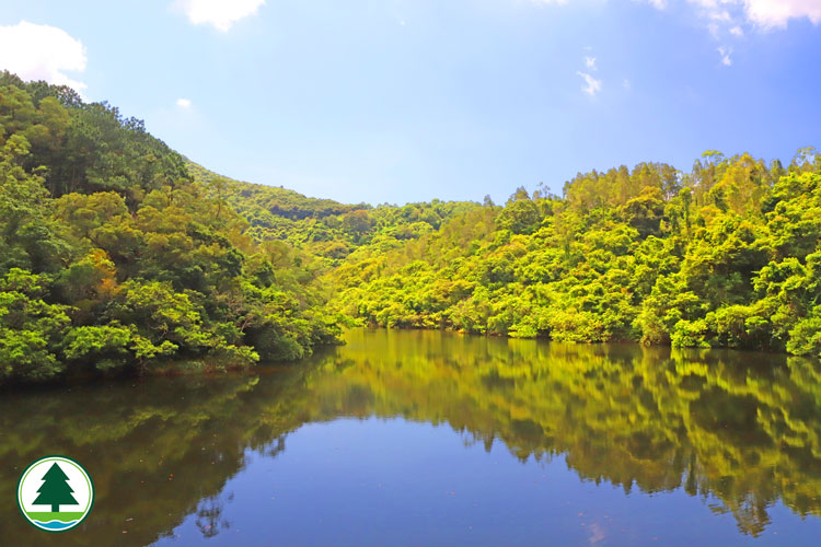 CP_photo_PSL_HokTauReservoir_s