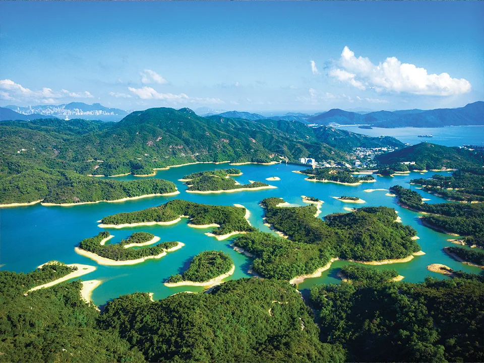 tai-lam-country-park-01