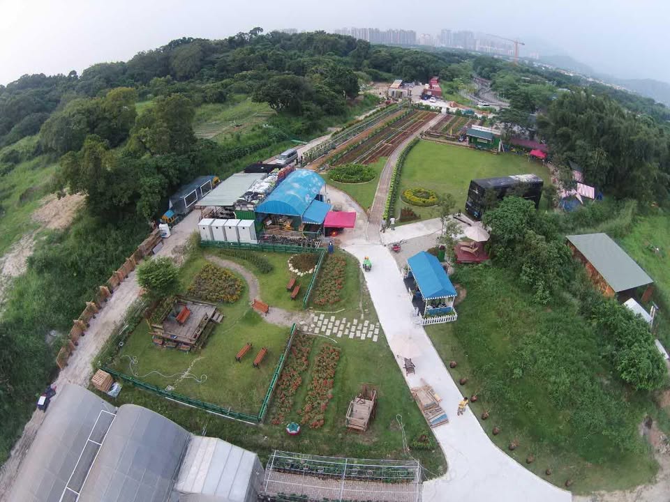 【玩樂指南】【香港親子好去處】週末家庭樂:戶外探索與寓教於樂的精選活動推薦