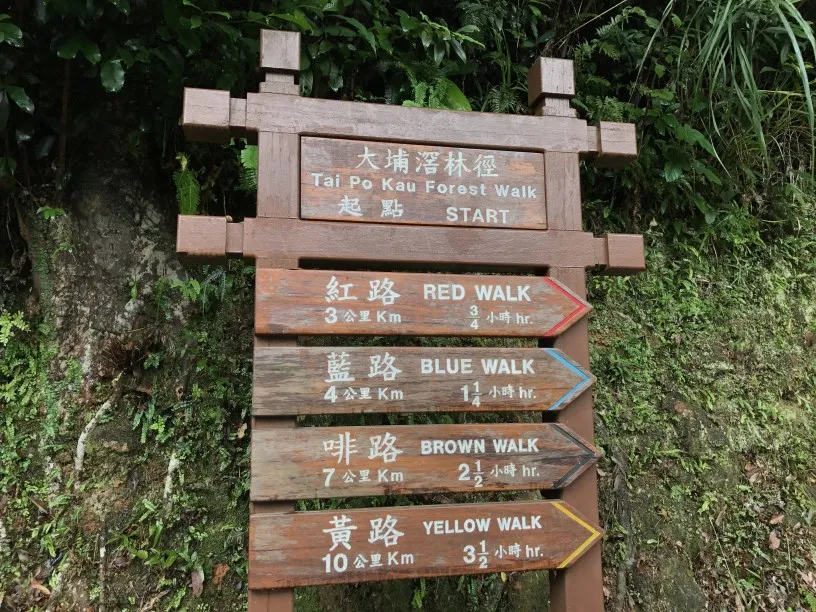 hiking-23-9-17-tai-po-kau-fire-lookout-2