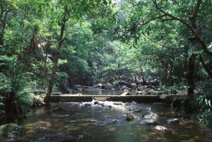 tpk_fresh_water_habitat